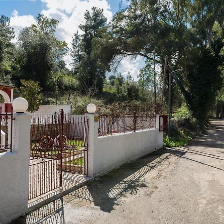 Merlyn Rooms Into The Nature, 100M From The Beach Dafnila المظهر الخارجي الصورة