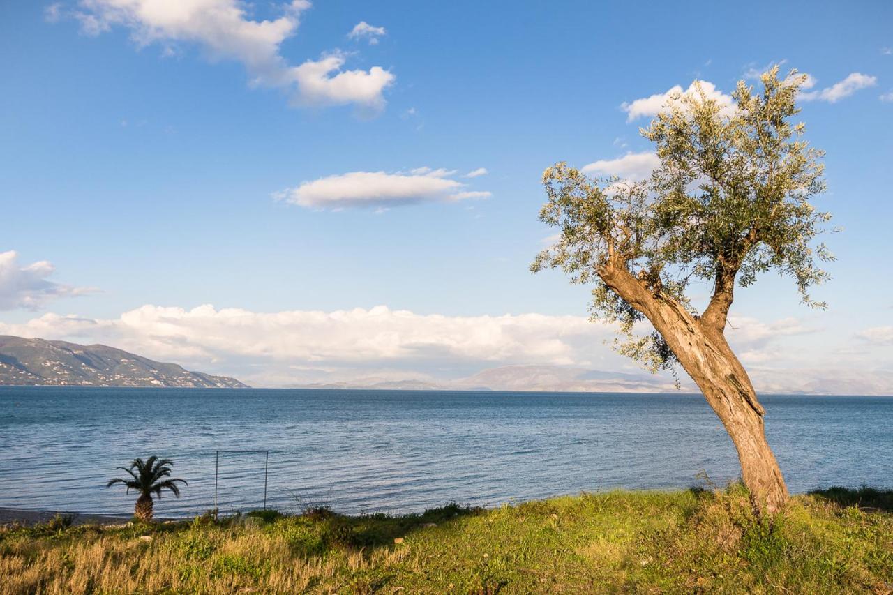 Merlyn Rooms Into The Nature, 100M From The Beach Dafnila المظهر الخارجي الصورة